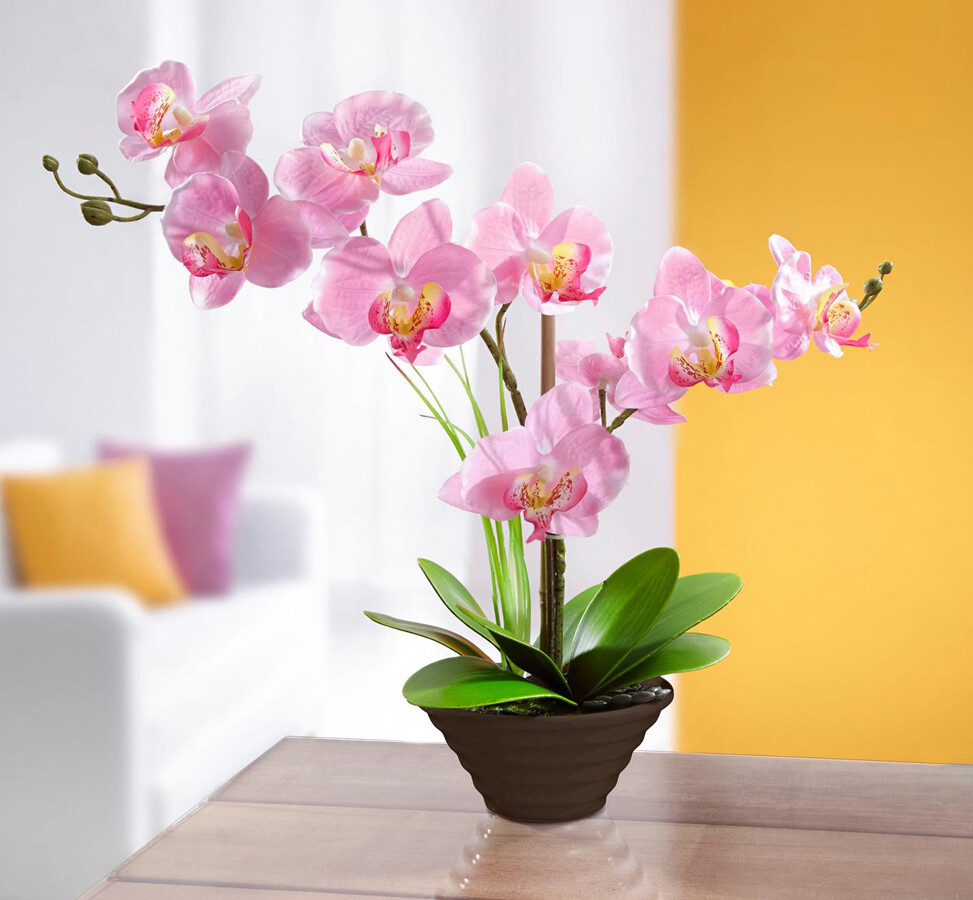 Levně Dekorační orchidej