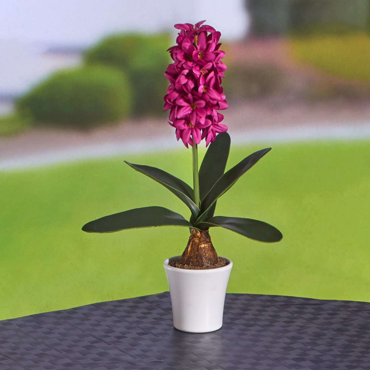 E-shop Hyacint + kvetináč