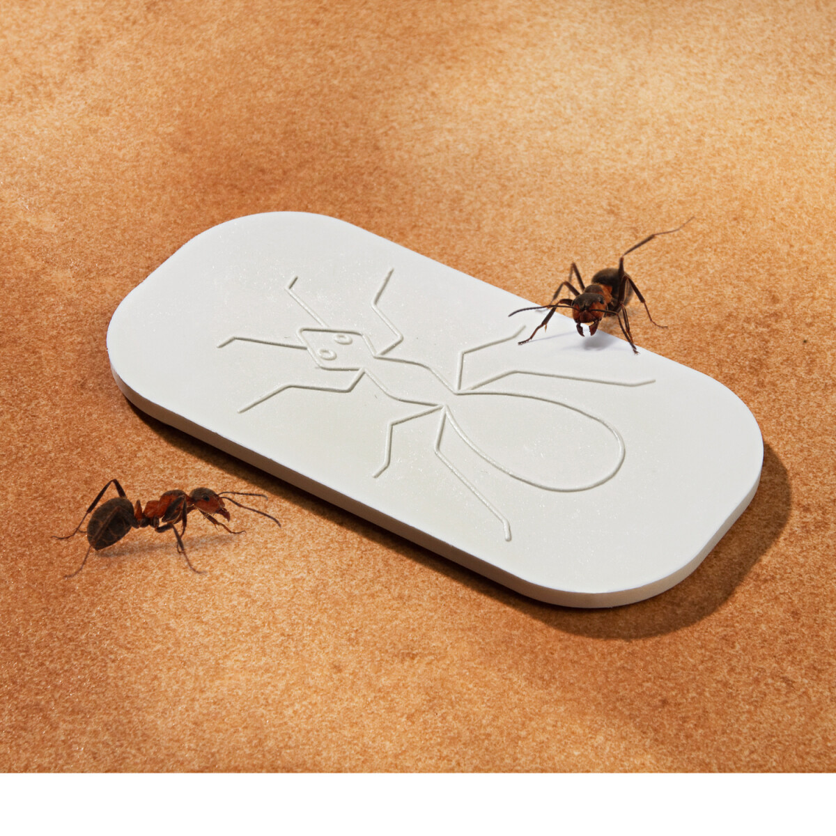 E-shop Doska proti mravcom *