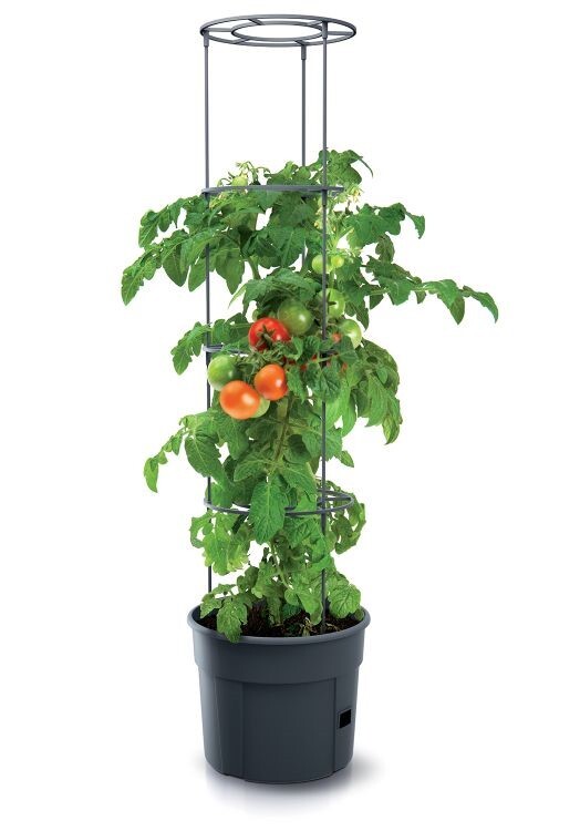 Levně Květináč na pěstování rajčat 29,5 cm