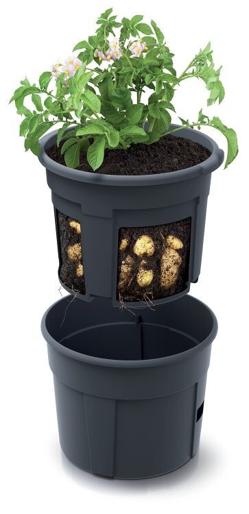 E-shop Kvetináč na pestovanie zemiakov