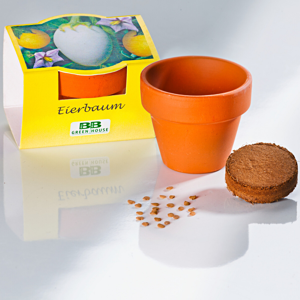 Pestovateľská súprava Baklažán
