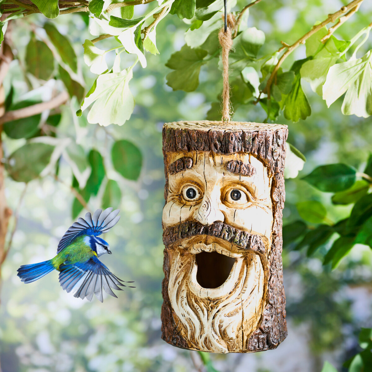 Strom s vtáčou búdkou a tvárou