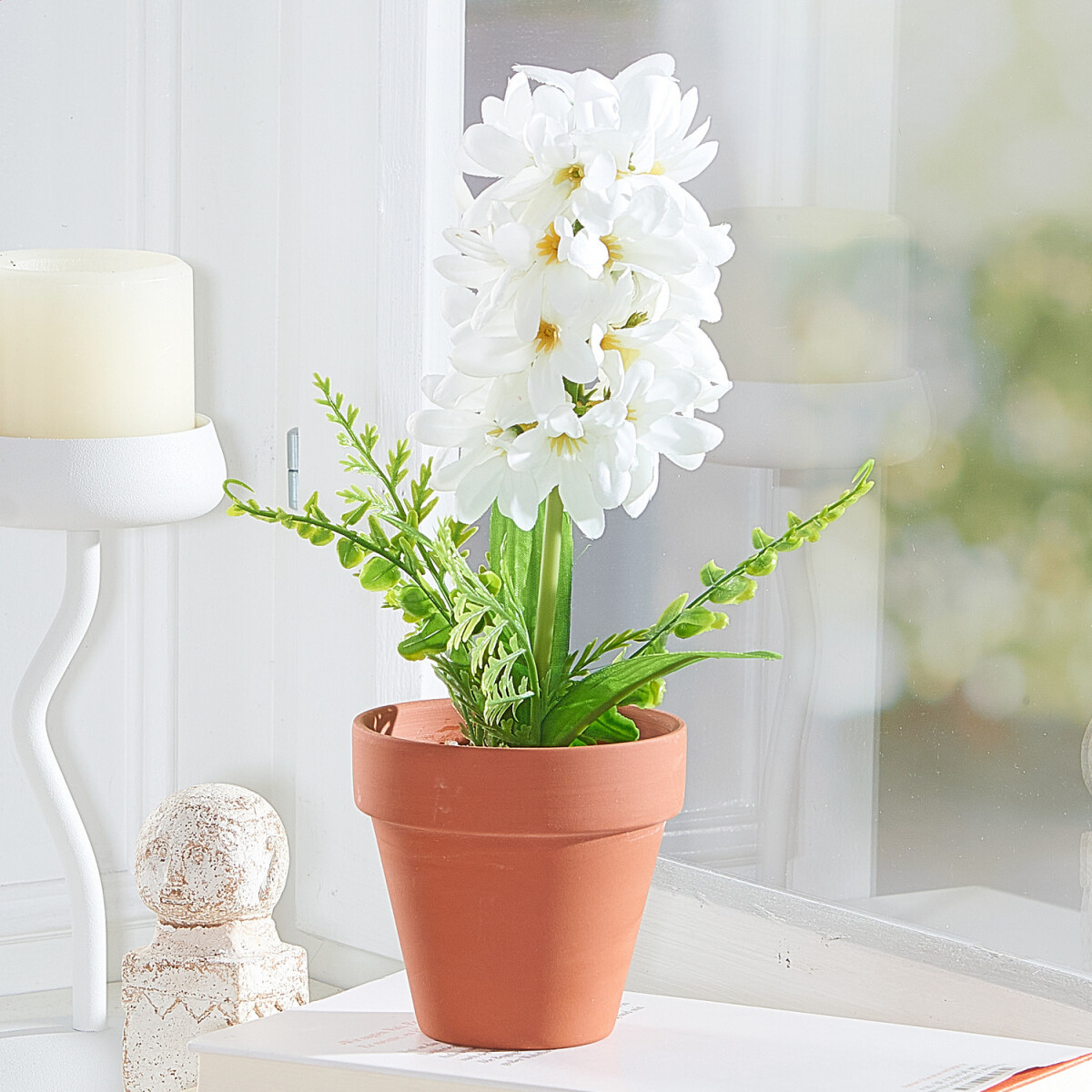 Hyacint v kvetináči