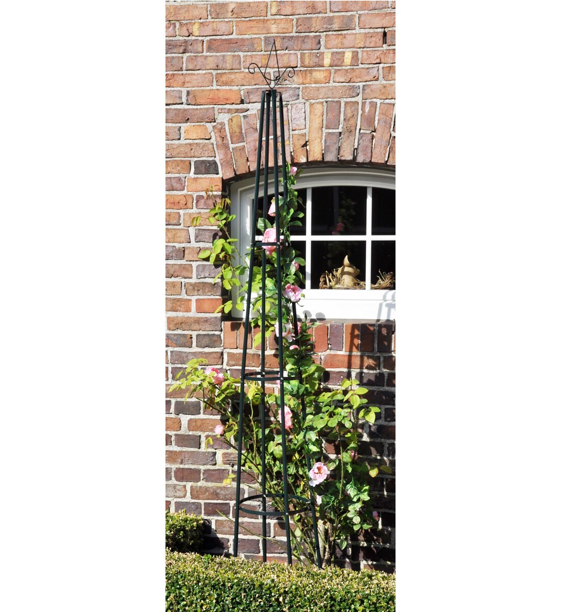 Opora pre popínavé rastliny