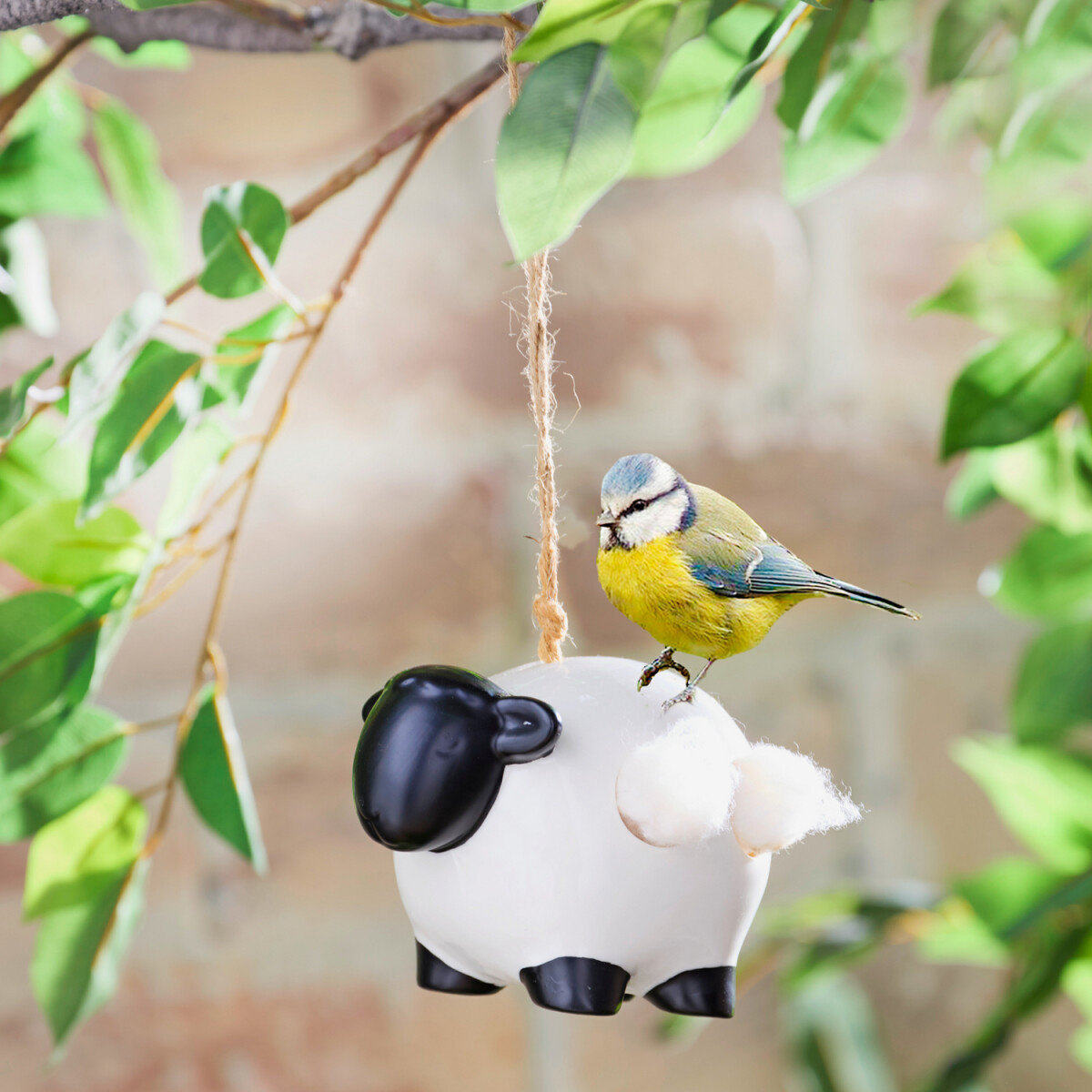 Vtáčie hniezdo Ovečka