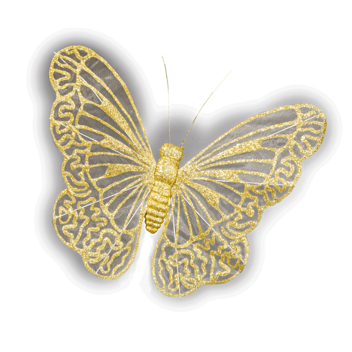 Levně Zlatý motýl