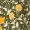 khaki/medová