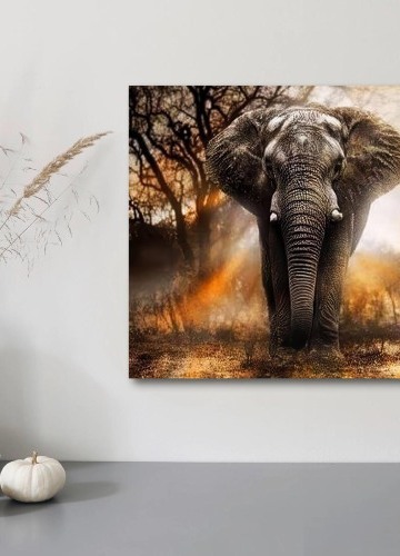 Diamantové maľovanie Africký slon