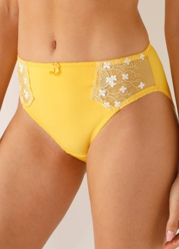 Klasické nohavičky Caminata zn. Confidence Lingerie® z mikrovlákna s výšivkou