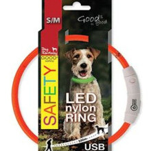 Obroża DOG FANTASY z podświetleniem USB