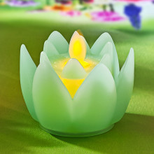 LED květ