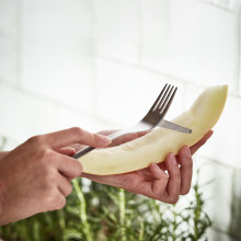 Nůž na ovoce s vidličkou