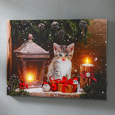 LED obraz "Kotě s dárkem"