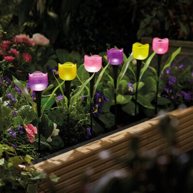 6 solárních tulipánů