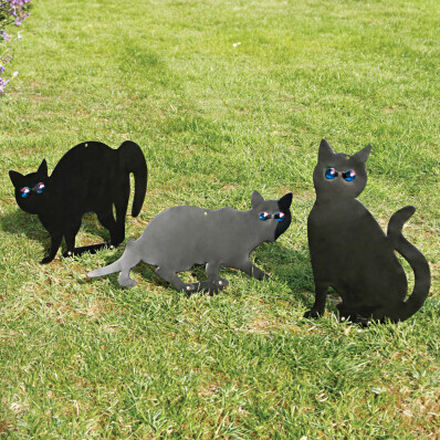 3 odpudzovače Mačky