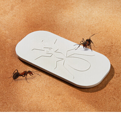Doska proti mravcom *