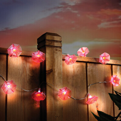 10 lamp słonecznych Kwiaty porannej chwały