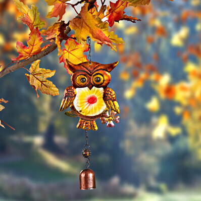 Chimes Owl