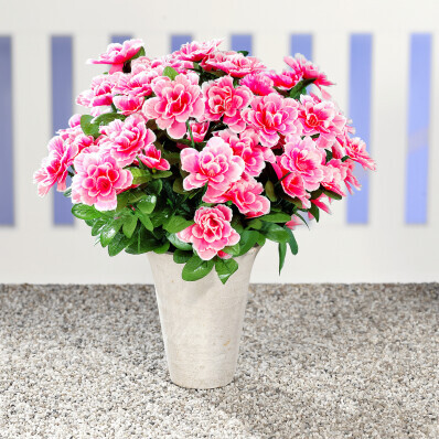 Buchet de azalee