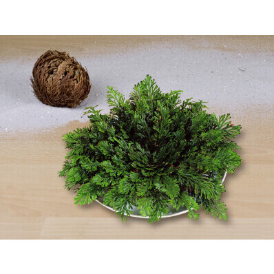 Trandafirii din Ieriha