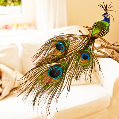 1 dekoračný páv