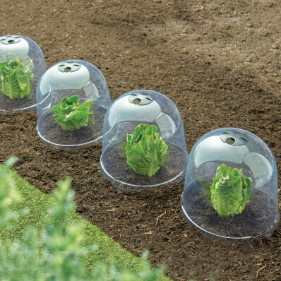 6 db növényvédő harang szettben