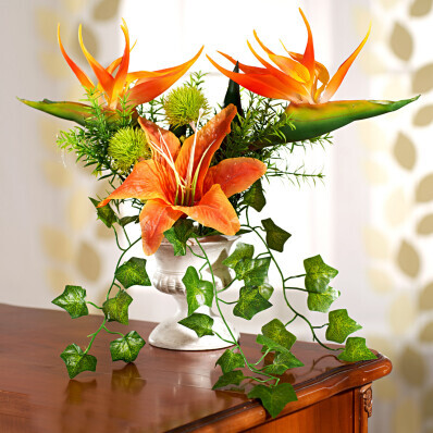 Strelícia v kvetinovej čaši