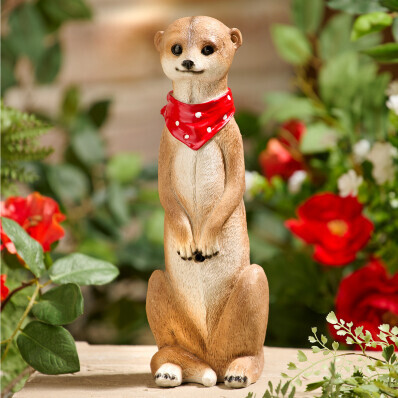 Detektor pohybu Surikata