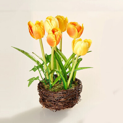 Tulipánové hnízdo Eldo