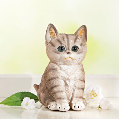 Mozgásérzékelős macska