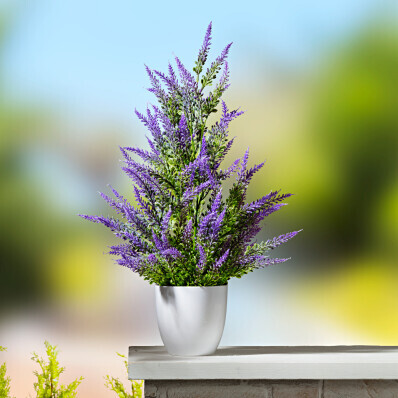 Arbore de lavandă într-un ghiveci de flori