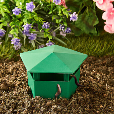 4 pasti na hlemýždě a slimáky