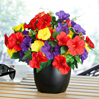 3 bukiety petunii