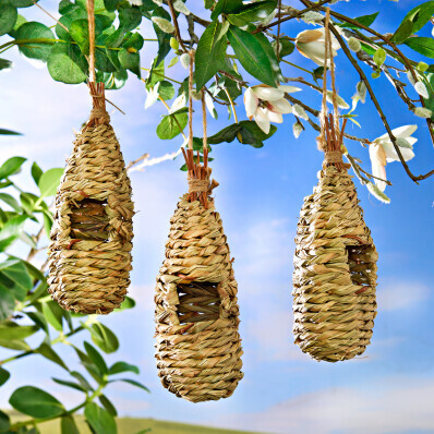 3 cuiburi decorative de păsări