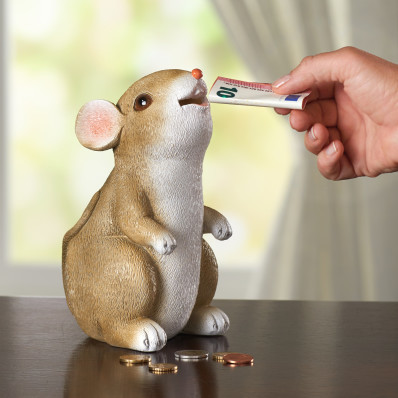 Pokladnička "Myš na peníze"