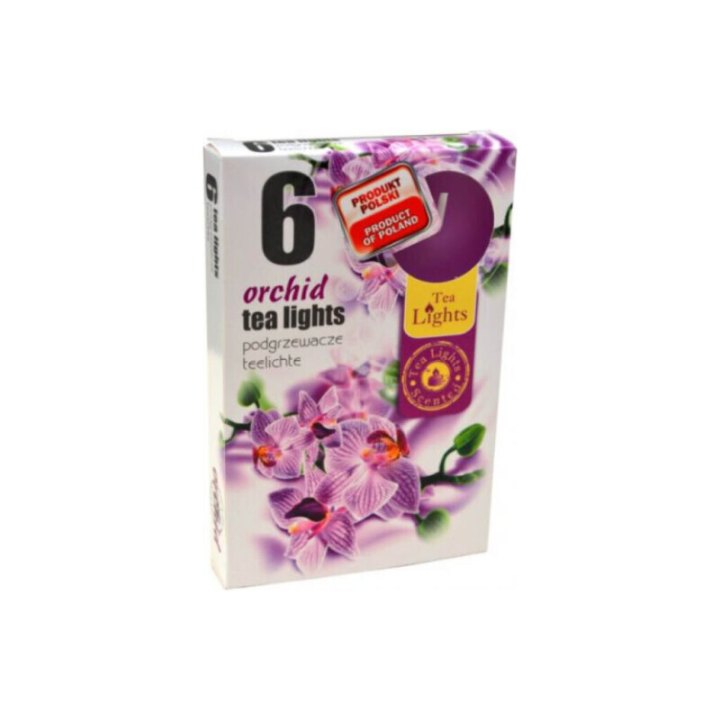 Admit Svíčka čajová 6ks Orchid (45/krt)