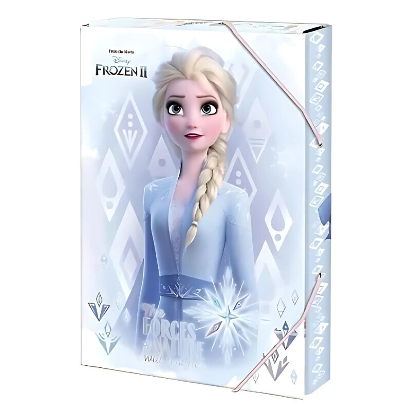 Argus Box na sešity A4 Disney Frozen