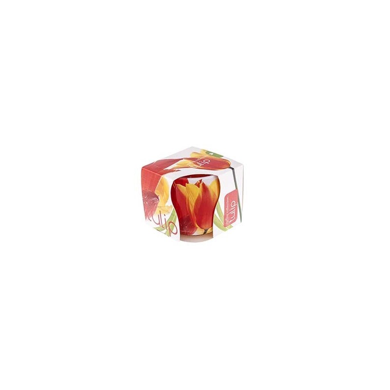 Admit Svíčka ve skle 100g Tulips (12/bal)