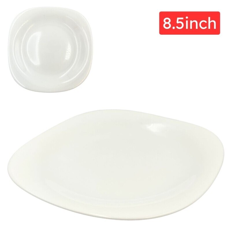 Talíř bílý 8.5" (6/bal 48/krt)