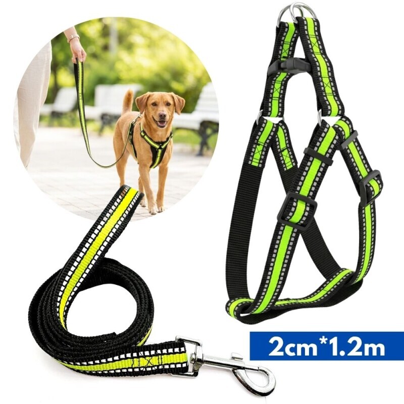Postroj pro psy s vodítkem 2cm*1.2m (12/bal 240/krt)