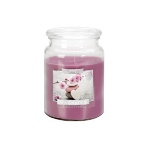 Bispol Svíčka v dóze SND99/500g Spa Garden (6/krt)