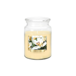 Bispol Svíčka v dóze SND99/500g Green Leavves Lily (6/krt)