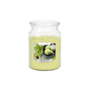 Bispol Svíčka v dóze SND99/500g Garden Mint Avocado (6/krt)