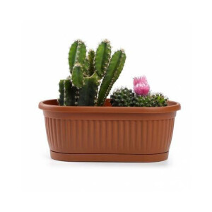 P.Forte Květináč plast oval 25cm (12/bal 120/krt)