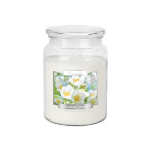 Bispol Svíčka v dóze SND99/500g Blooming Jasmine (6/krt)