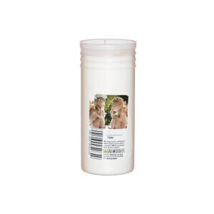 Admit Svíčka hřbitovní náplň TB 230g (15/bal)