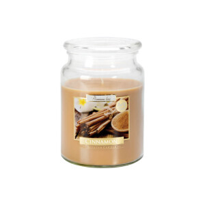 Bispol Svíčka v dóze SND99/500g Cinnamon (6/krt)