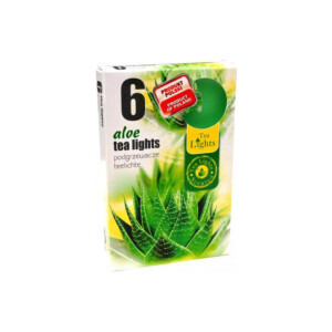 Admit Svíčka čajová 6ks Aloe Vera (45/krt)