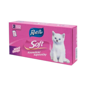 Roll Pap Box papír.kapesník 100ks 2-vrstvý (21/krt)